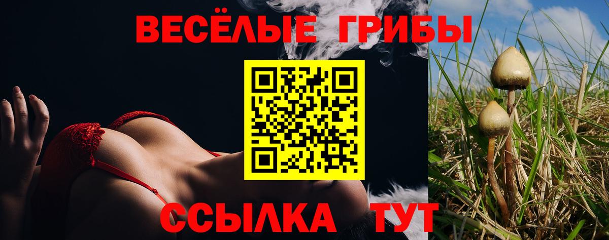 Прохладный  Галлюциногенные грибы Magic Shrooms  Вход с VPN  Псилоцибиновые грибы GOLDEN TEACHER 